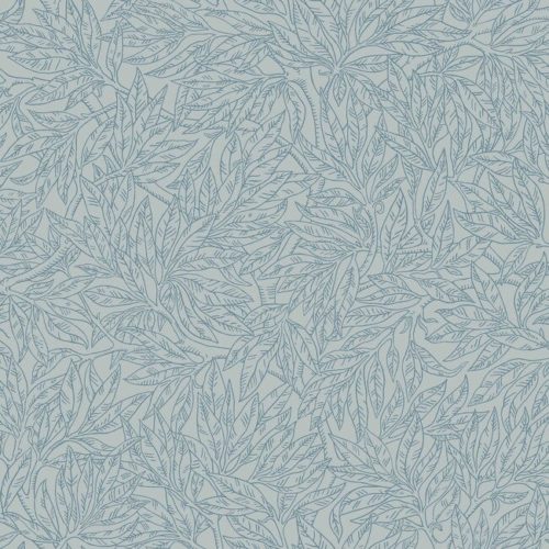Salix Alba 7788